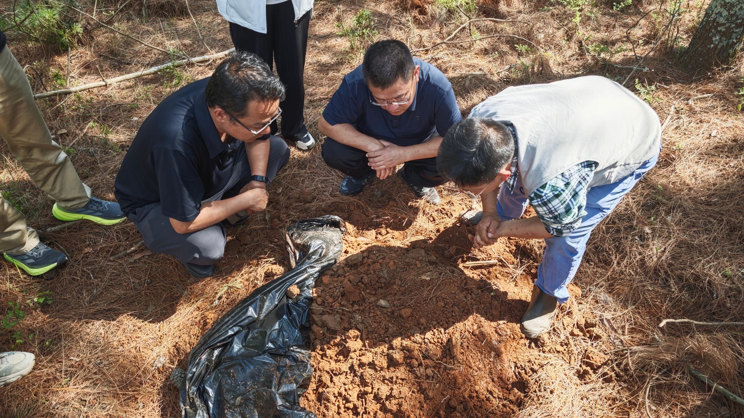 链式思维 融合发展——玉溪市促进林下经济高质高效发展