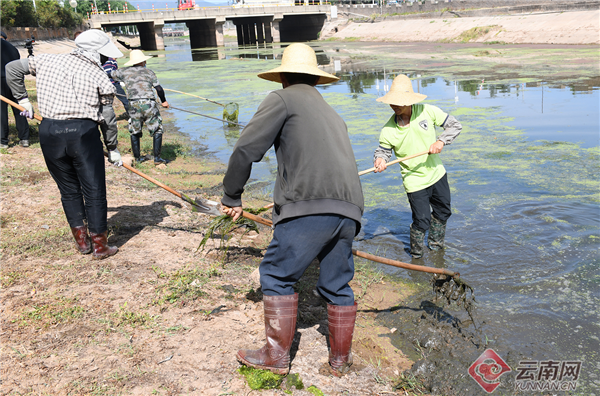 "集中行动暨杞麓湖流域初期雨水冲击性污染负荷防控专项行动集中攻坚
