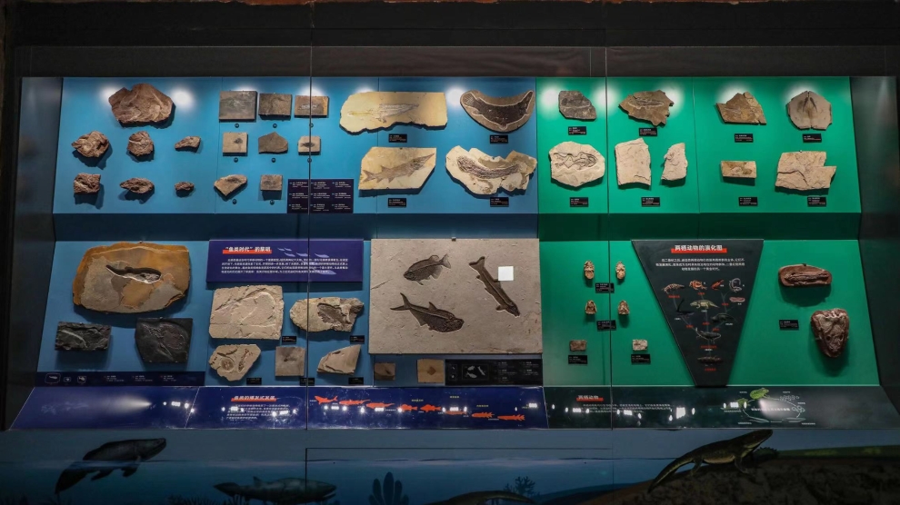 澄江化石地世界自然遗产博物馆再获奖_频道头条_玉溪频道_云南网